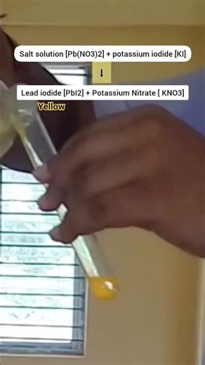Lead ion test | class 12 chemistry practical | salt analysis of lead nitrate #chemistryclass12