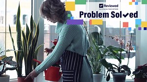 Plant tips: Grow healthier plants indoors