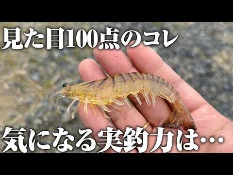 My thoughts: Seriously, it's like a shrimp. I tried out the lure that's been getting a lot of buz...