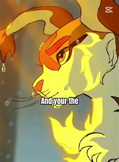 You can be a lover or a fighter #warriorcats #edit