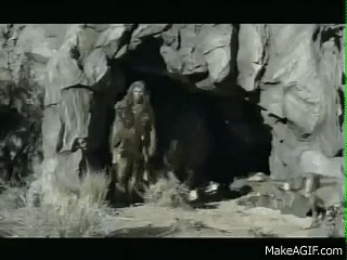 Fedex Caveman Super Bowl XL Commercial on Make a GIF