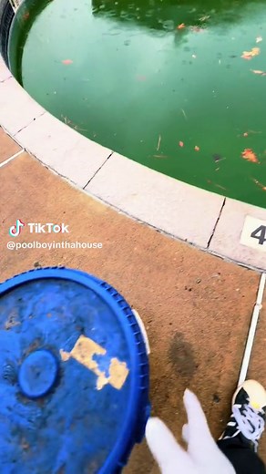 Pool Boyinthahouse on TikTok