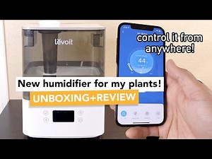 Levoit Classic 300S Humidifier for Houseplants | Unboxing & Review