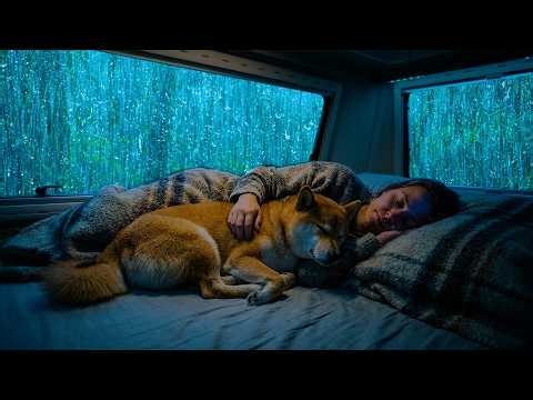 Rain Sounds for Sleeping - Relaxing Rain and Soft Thunder for Deep Sleep Tonight
