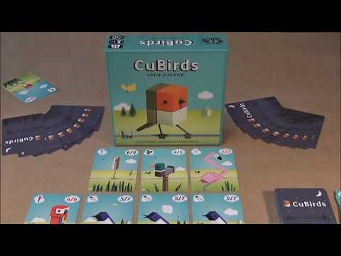 CuBirds les règles du jeu
