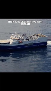 Seismic Blasting harms marine life, it is the first step in offshore gas exploration and is one of the loudest noises that humans make. Marine scientist @annieford01 has grown up on the Southern Ocean and understands just how important a role it plays, Annie has also worked on a seismic blasting vessel, has seen just how this destructive industry works and now advocates for the protection of the Southern Ocean. Seismic blasts can exceed 250 decibels (as loud as an atomic bomb), with sound travel