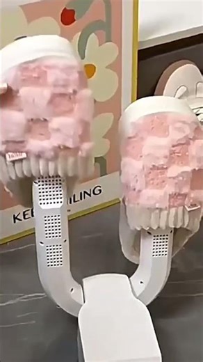 Electric dryer for shoes, boots, gloves and hats