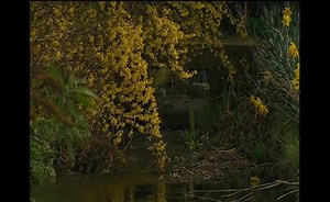 Sorry, we have encountered a problem. - Alexander Street, a ProQuest Company