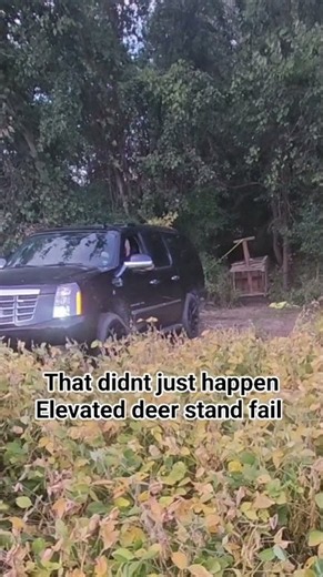 when setting up the deer blind goes wrong