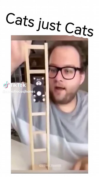 Cats just Cats #cute #fluffy #cats #animals