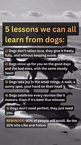 5 things we can learn from dogs. #doglover #dog #petlovers #lifeadvice #mentalhealth | Cute Pet World