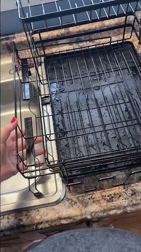 Keep Your Kitchen Organized | 2 Tier Expandable Dish Drying Rack Review 🍽️ Space Saving