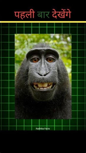 Top 2 Hungry Animals 😱