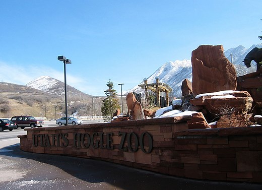 Los 17 zoológicos más grandes del mundo que debes vistiar