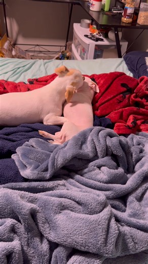 Erika Leigh Davis on Reels