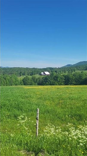 Beautiful Vermont Vista #scenic #nature #mountains