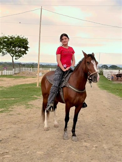 Explora Wais: La Sensación Viral en TikTok