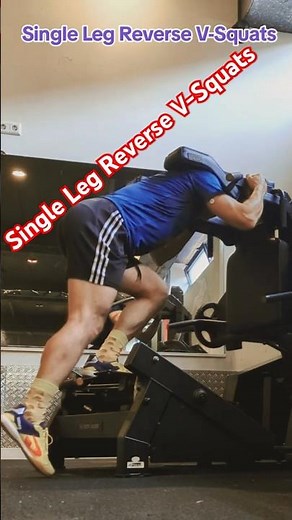 Leg Day: Single Leg Reverse V-Squats