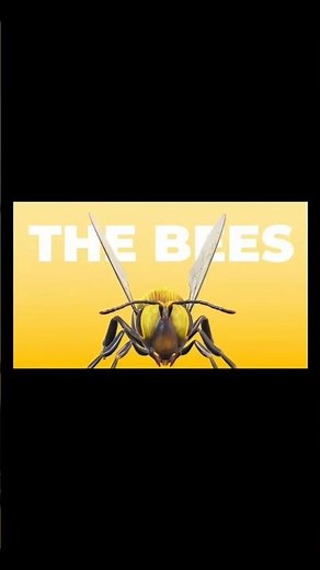 🔥POWERPOINT TRANSFORMATION 🔥