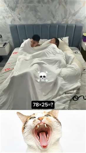 cat funny video 🤣 #shorts