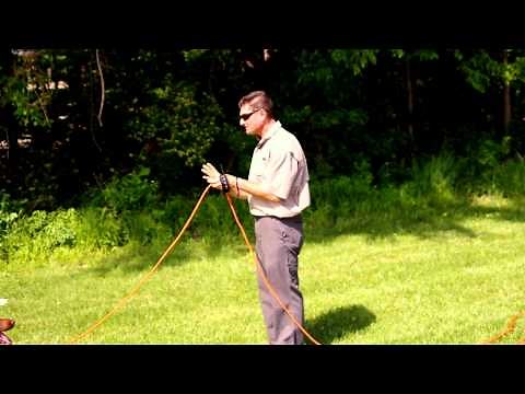 Dog Training with Hand Signals and Casting Techniques