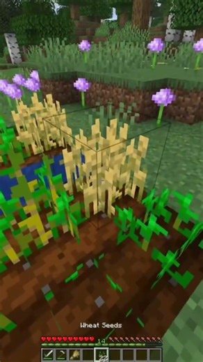 Might hang it up after this one 🤷‍♂️ | #valorant #valorantclips #viral #funny #minecraft #streamer