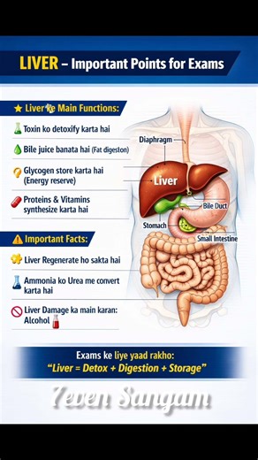 Liver Important Points for Exams | Biology GK | SSC, Railway, MPPSC #StudyShorts #7evenSangam