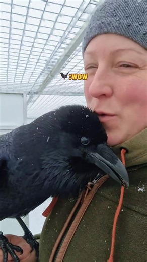 Overcoming Fear of Birds: A Personal Journey