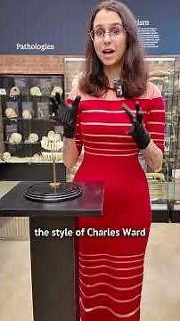 Exploring tooth anatomy