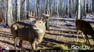BOGgear Blood Moon Trail Camera TV Spot, 'Optimal Photos and Videos'