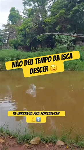 Foi cair na água e a boia já afundou 💥🤯 #pescariadetilapia #tilápias #pescacombambu