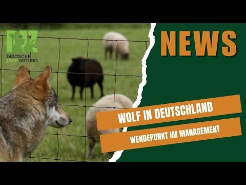 🎯 DJZ News – October 15, 2025: Wolf management, personnel changes at LJV NRW, goose project & mor...
