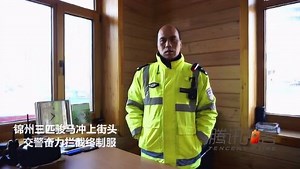 《拍客速递》锦州三匹骏马冲上街头 交警奋力拦截终制服