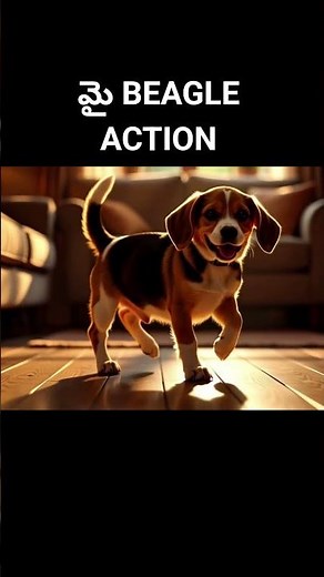 “My Beagle’s Cute Dance Moves 🐶💃 | Adorable Dog Dance Video #shorts”