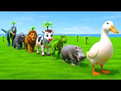 Long Slide Game With Cow Elephant Gorilla Hippopotamus Tiger - 3d Animal Game - Funny 3d Animals
