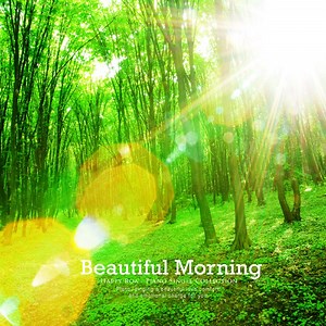 White Lily - Happy Road: Song Lyrics, Music Videos & Concerts