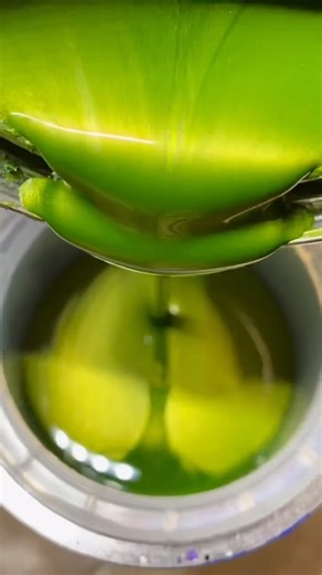 6.4K views · 1.4K reactions | Spray your way to the perfect look! Our wide range of spray cans, from stunning paints to shimmering flakes and clear coats, makes quality accessible and easy.✨ See for yourself- www.tropicalglitz.net #tropicalglitz #onlythebest #custompaint #metalflake #customspraycan #kustomflakes | Tropical Glitz | Facebook