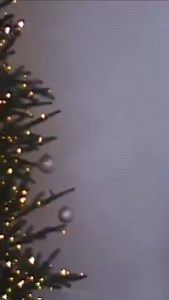 These little moments are going to mean so much in the years to come 🥹 Wishing you a season filled with so much love and joy ❤️ | Sadie Robertson