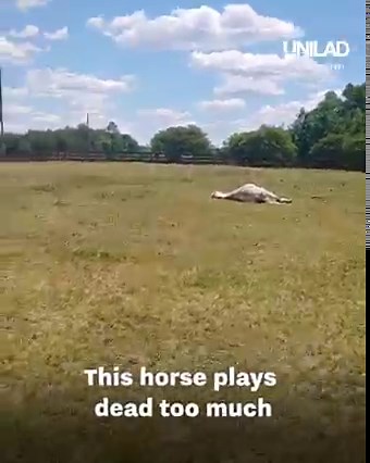 Bro be like "Leave me, Tina! I'm sleeping!" 😂 😂 | UNILAD