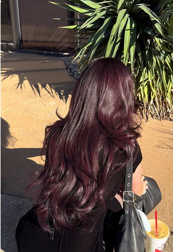 Bold Dark Plum Hair Color Ideas for Your Next Look