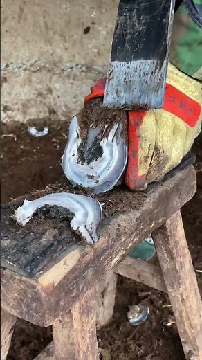 Animal care, donkey hoof trimming, clean and efficient technique, relaxing to watch.