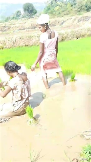 Koraputia viral video #desiasong2025 #desisong #desiasong2021 #shortvideo #shorts #trending #viral