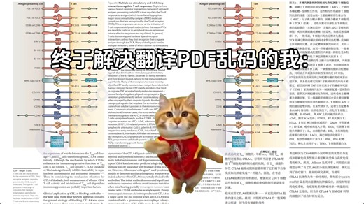 一键解决PDF乱码问题