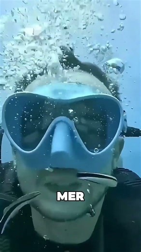 Le poisson qui a le rôle le plus important 🤯❤️