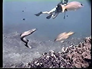 Jerry Garcia of the Grateful Dead Scuba Diving on 11/29/1991 in Kona, Hawaii