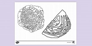 Cabbage Colouring Sheet