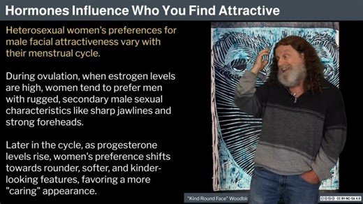 Robert Sapolsky on Human Behavioral Biology | Chris J. Lipowski posted on the topic | LinkedIn