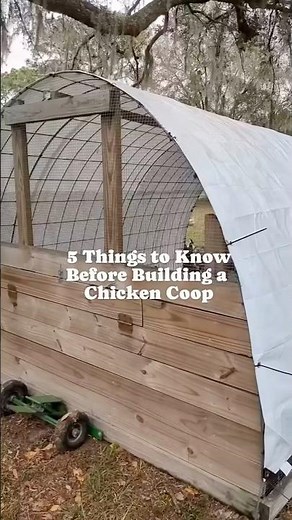 How to build a Bear-proof chicken coop