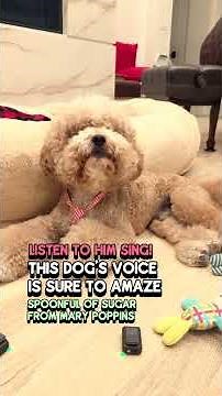 Charlie Sings - Spoonful of Sugar