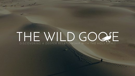 The Wild Goose // TRAILER